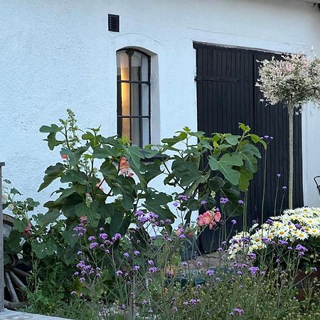 Backadal Gard Bnb Истад Экстерьер фото