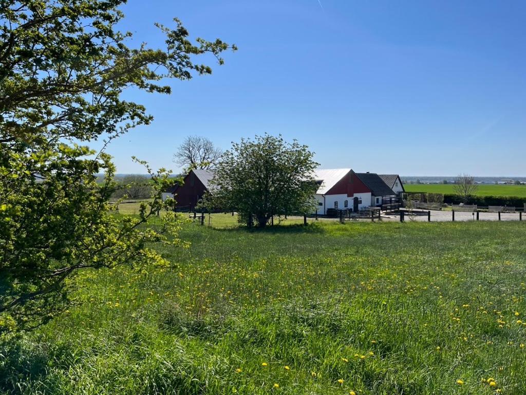 Backadal Gard Bnb Истад Экстерьер фото